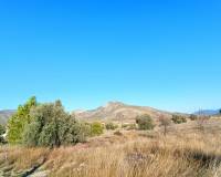 Venta - Villa - Barbarroja