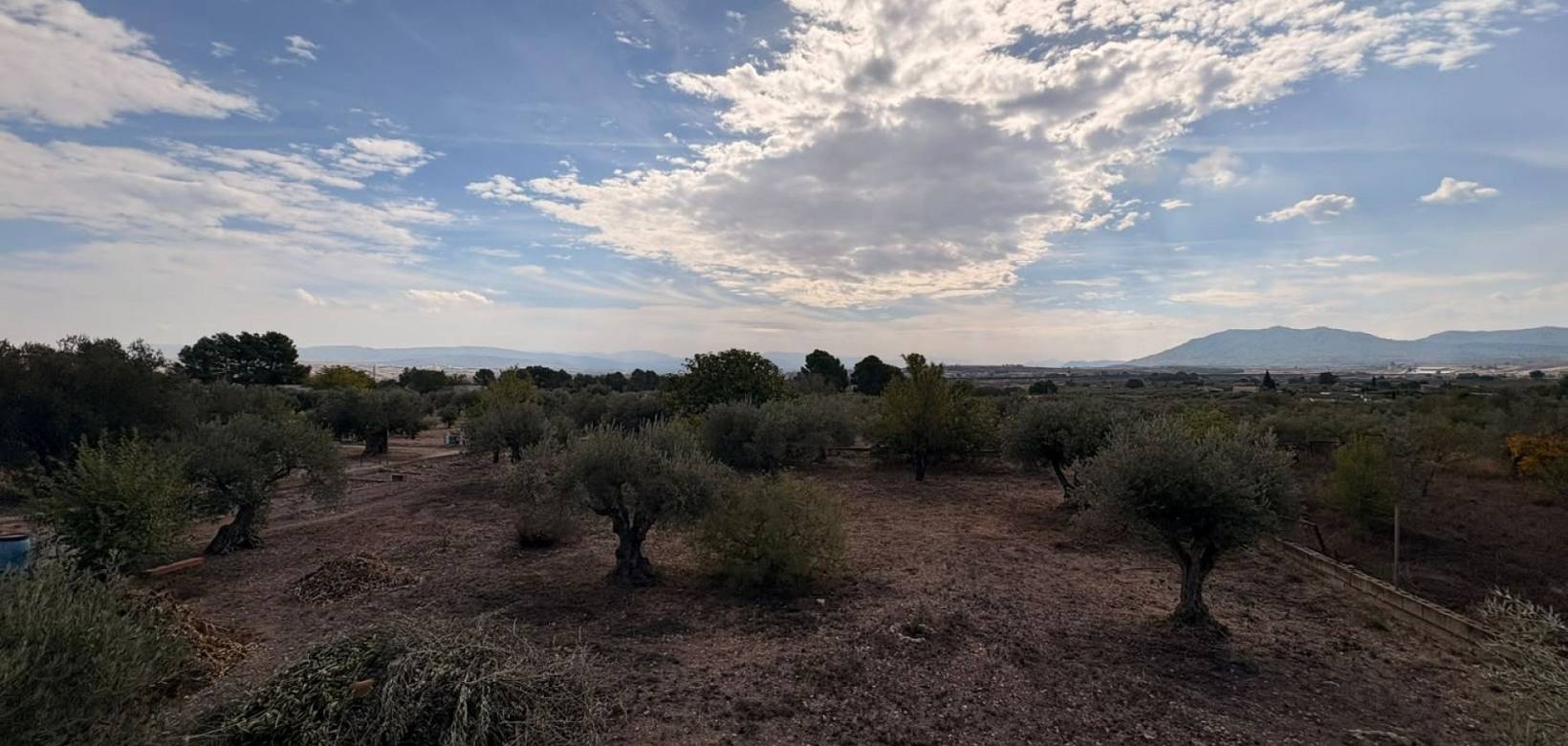 Venta - Villa - Caudete