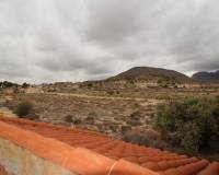 Venta - Villa - Fortuna