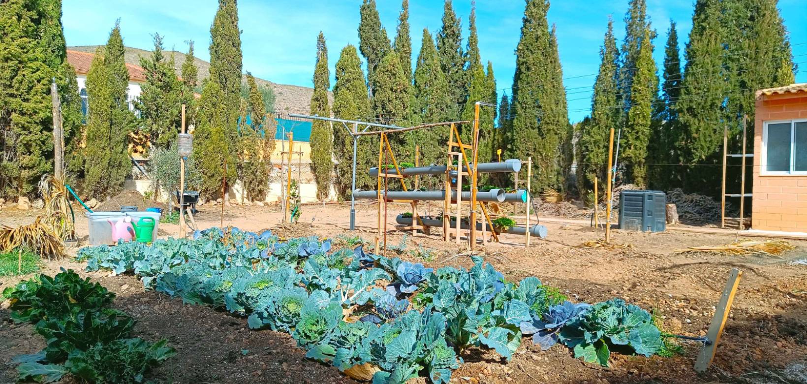 Venta - Villa - Hondón de los Frailes