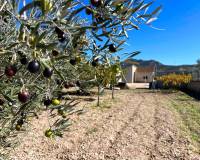 Venta - Villa - Hondón de los Frailes