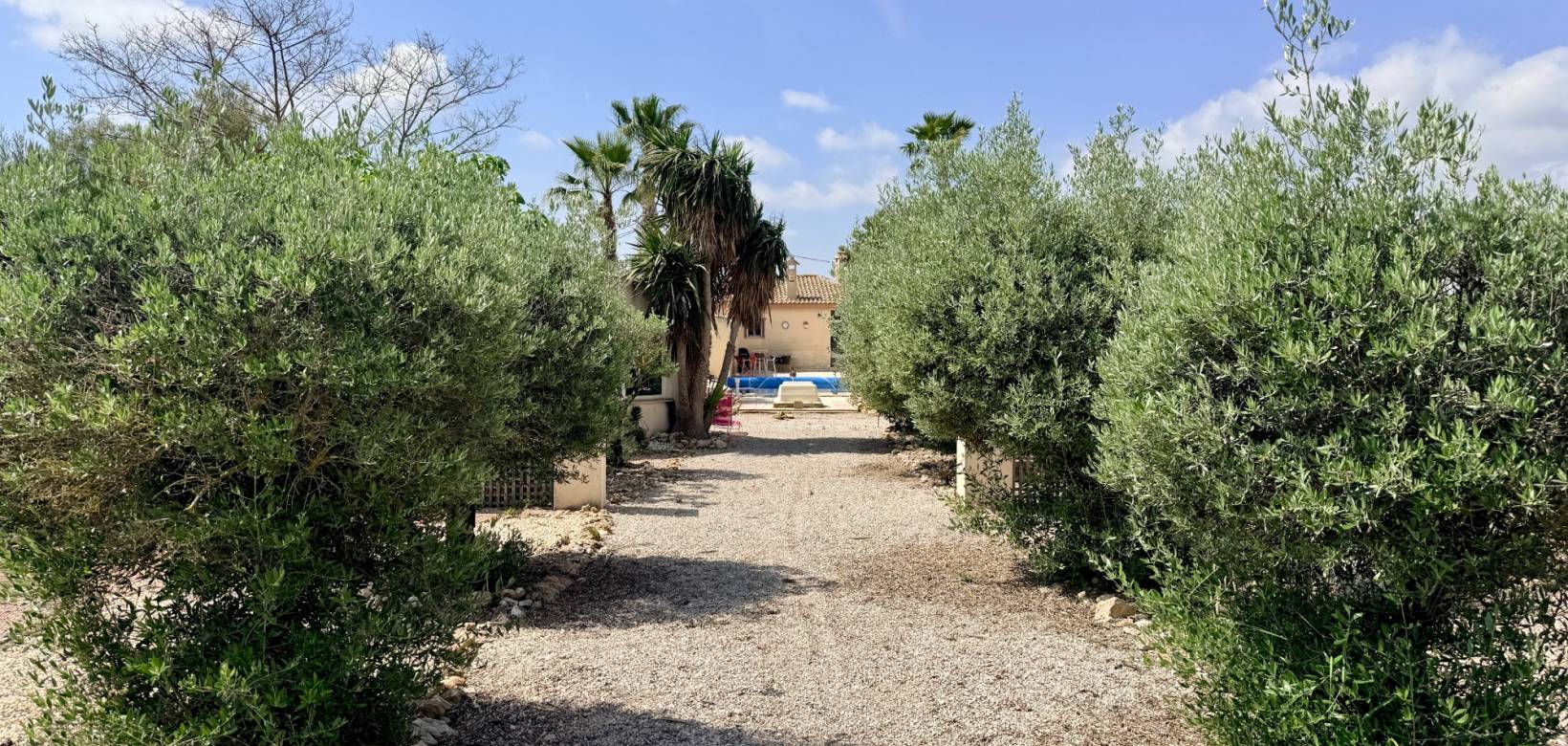 Venta - Villa - Hondón de los Frailes