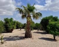 Venta - Villa - Hondón de los Frailes