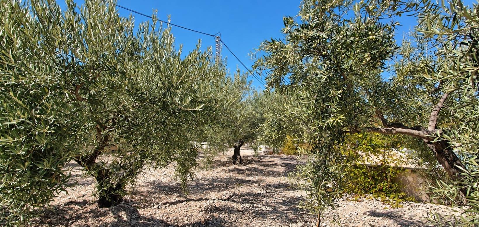 Venta - Villa - Hondón de los Frailes
