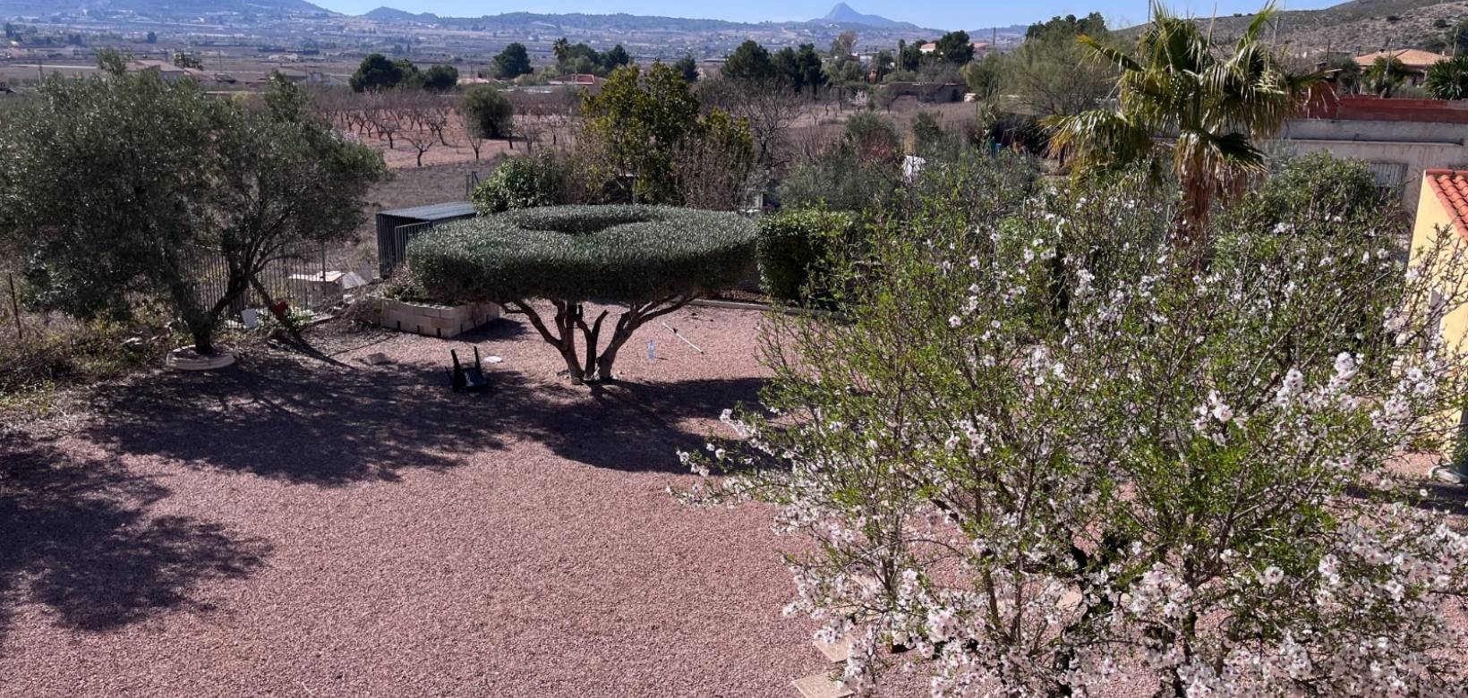 Venta - Villa - Hondón de los Frailes