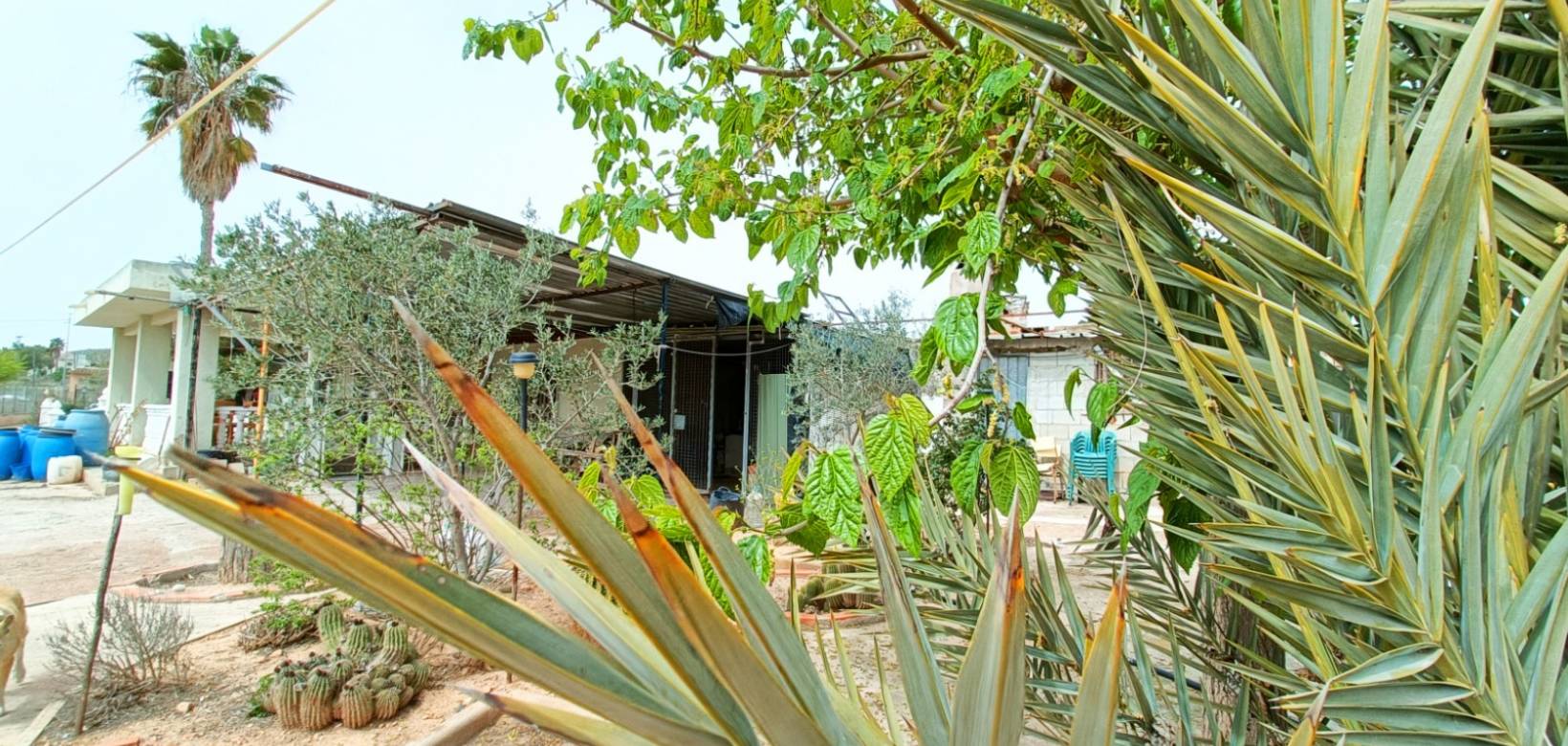 Venta - Villa - Hondón de los Frailes