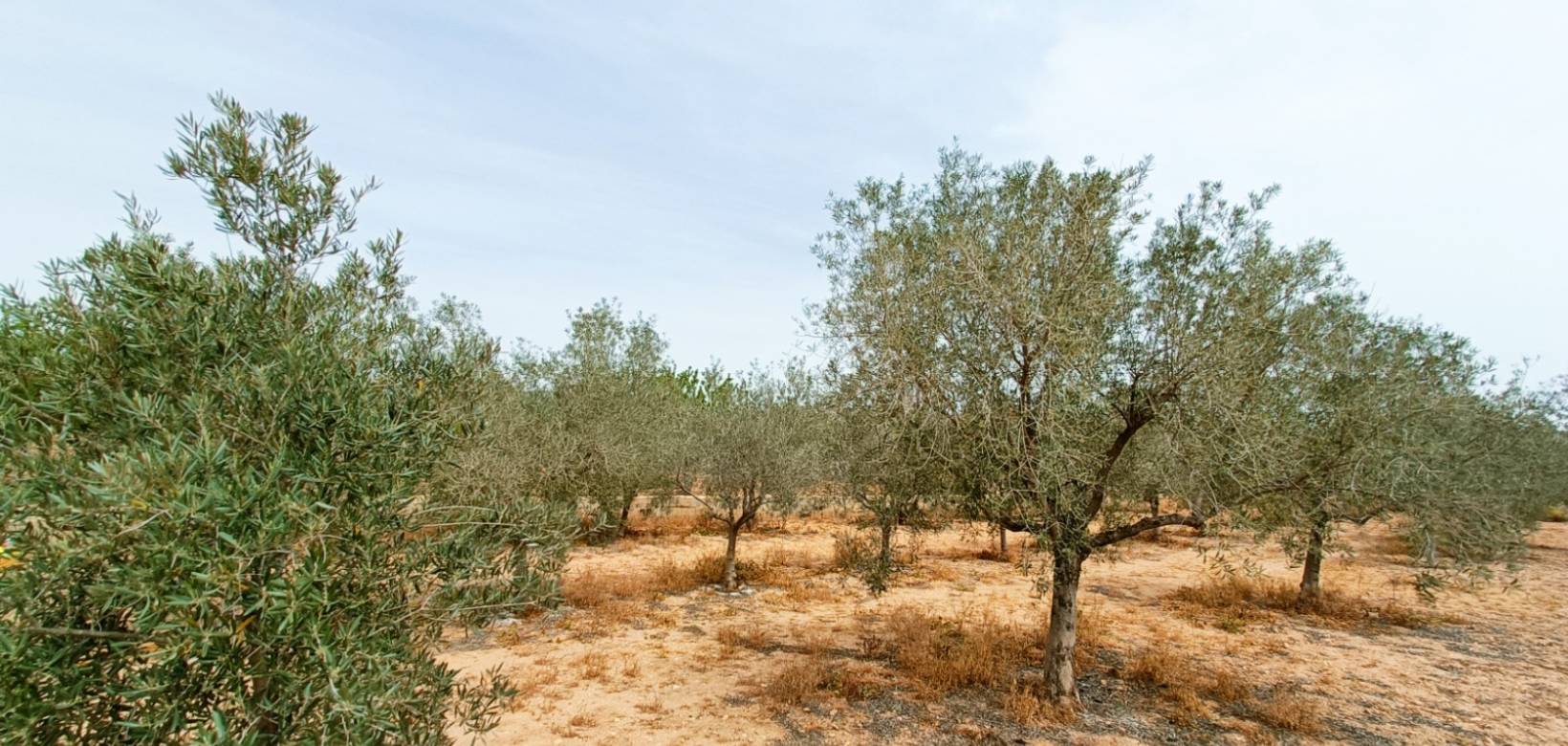Venta - Villa - Hondón de los Frailes