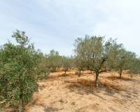 Venta - Villa - Hondón de los Frailes