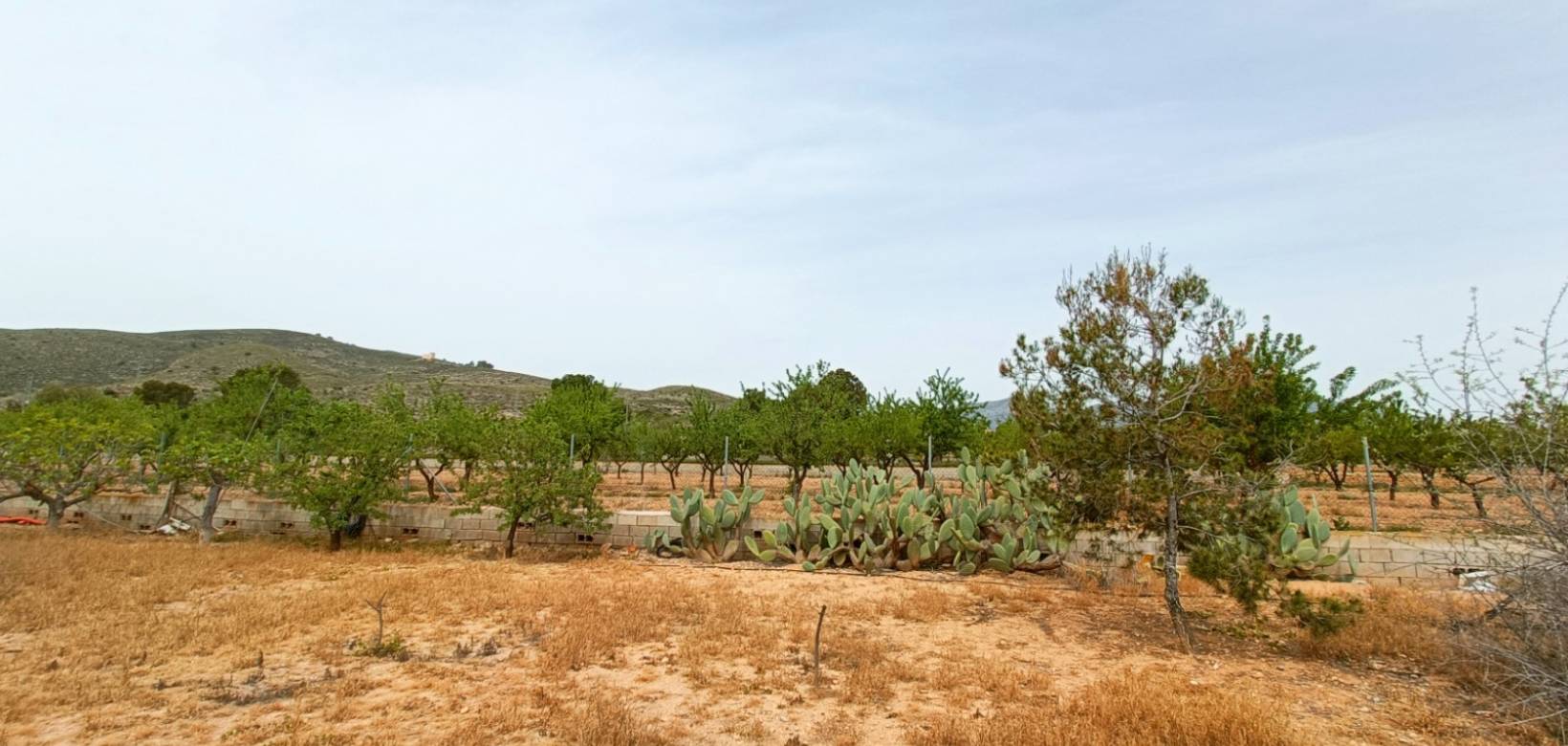Venta - Villa - Hondón de los Frailes