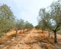 Venta - Villa - Hondón de los Frailes