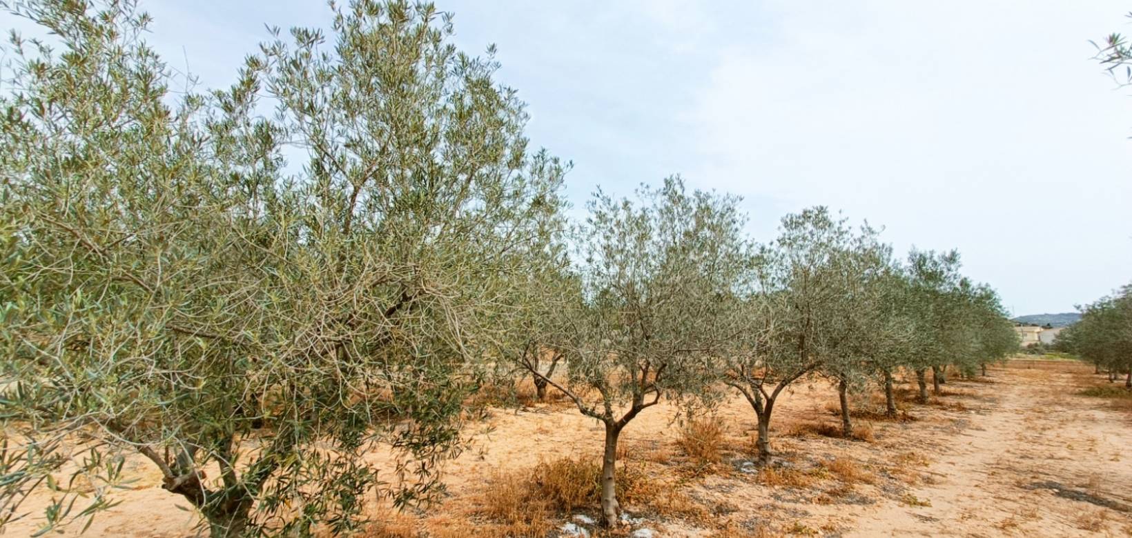 Venta - Villa - Hondón de los Frailes