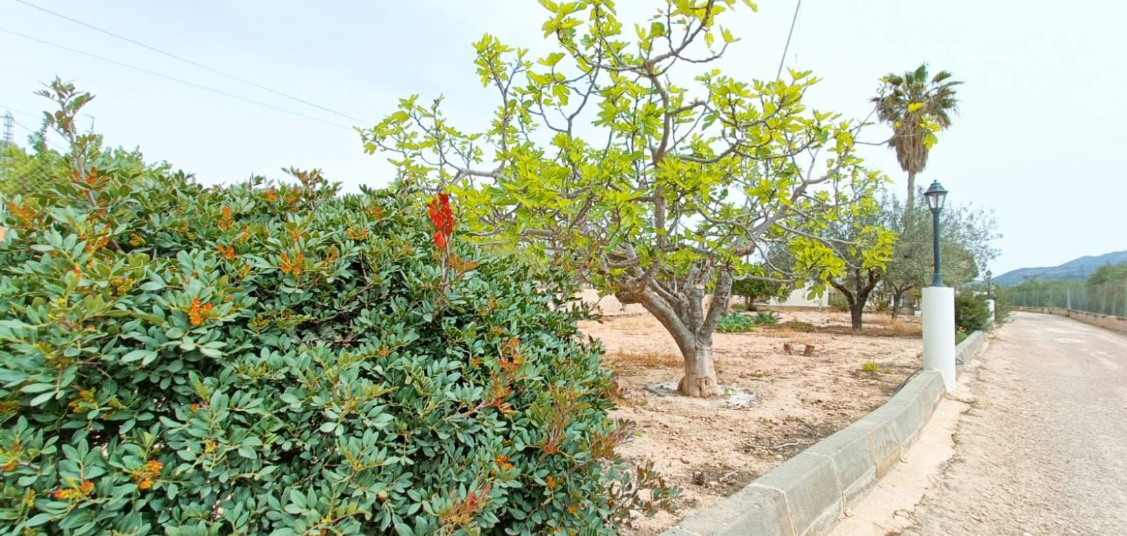Venta - Villa - Hondón de los Frailes