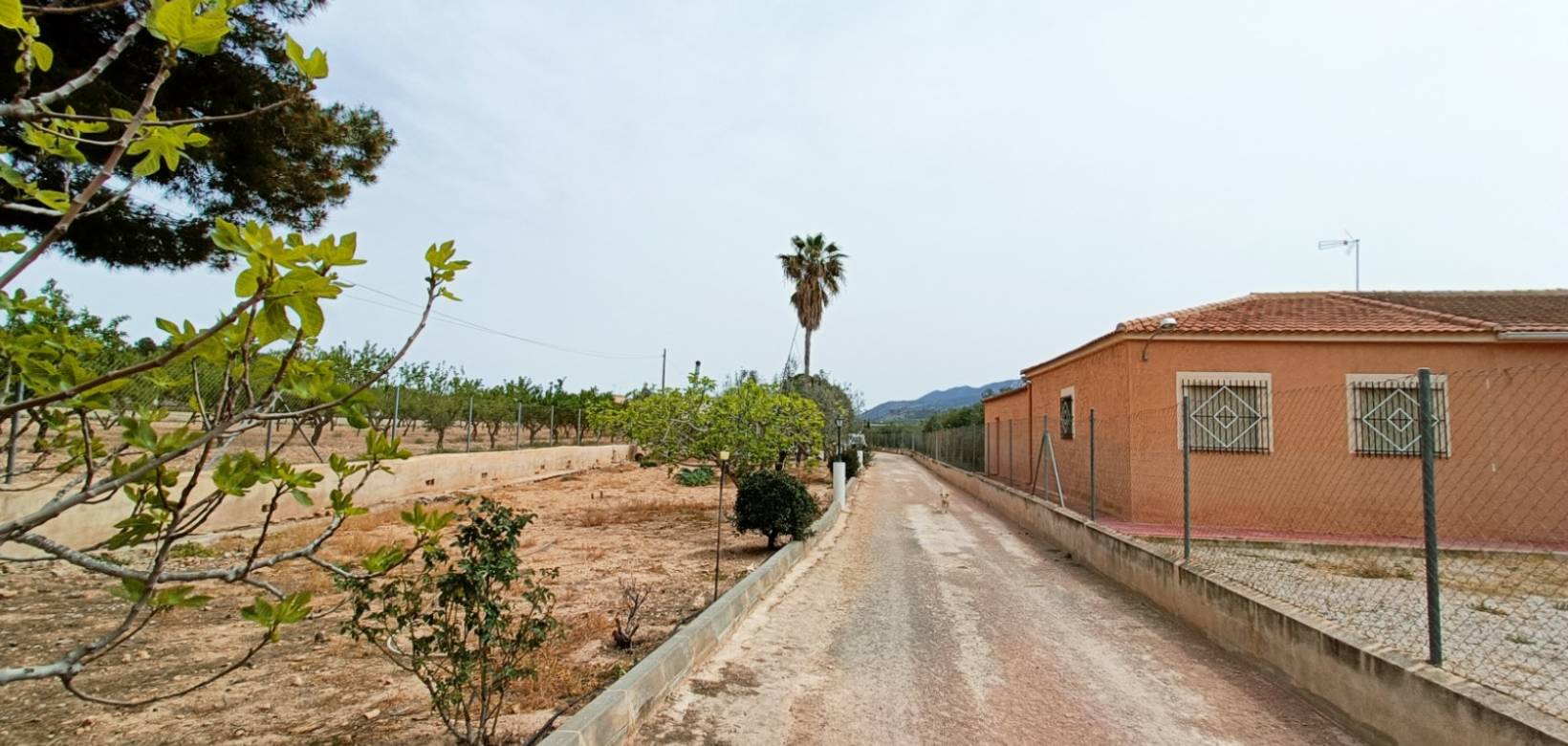 Venta - Villa - Hondón de los Frailes