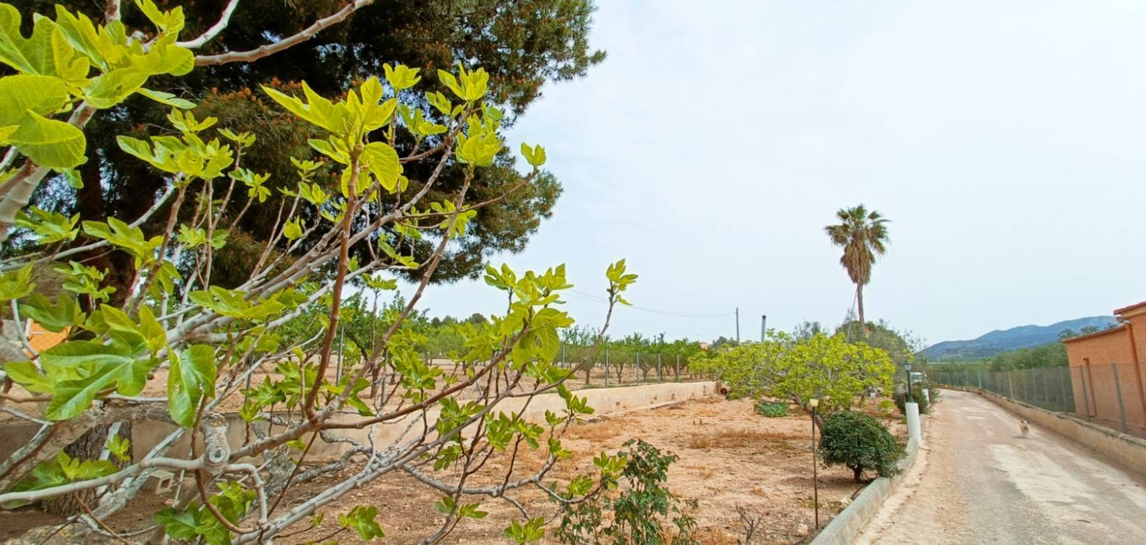 Venta - Villa - Hondón de los Frailes