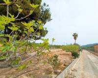 Venta - Villa - Hondón de los Frailes