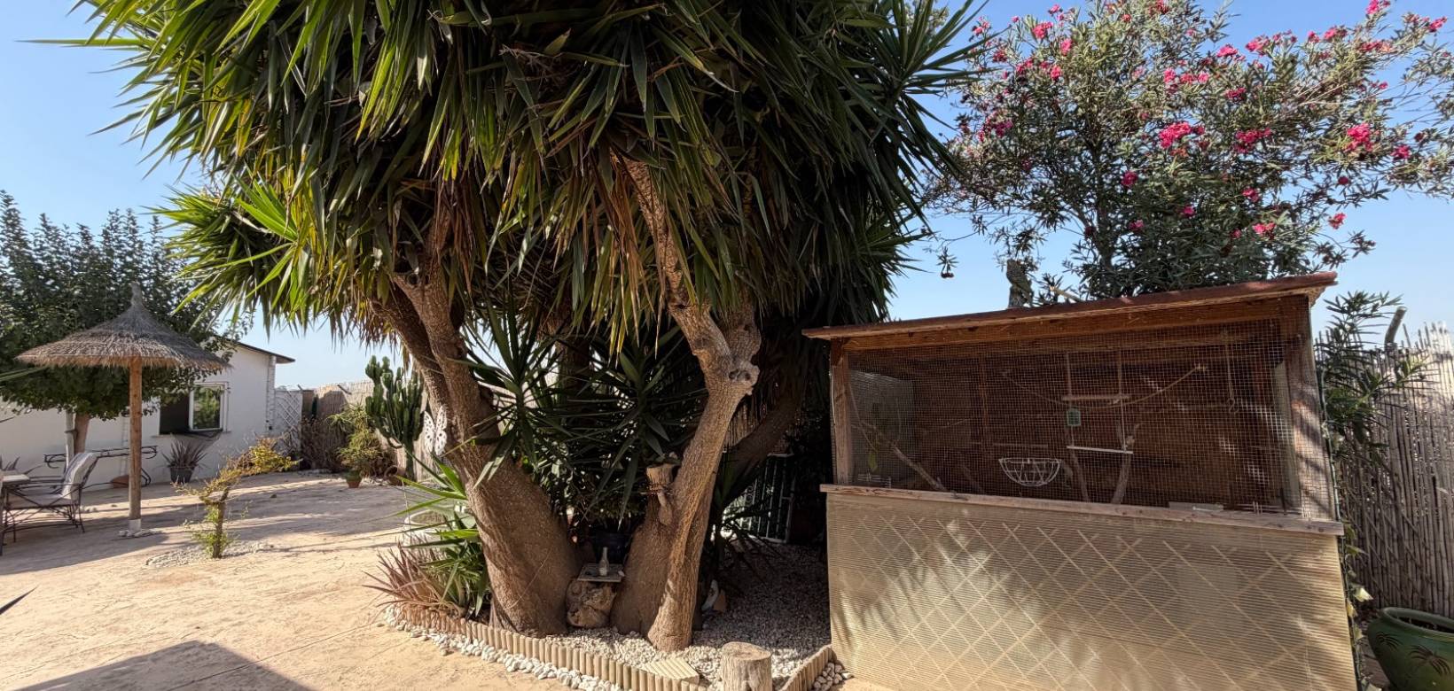 Venta - Villa - La Marina - Elche / Elx