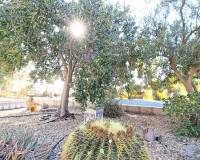 Venta - Villa - La Romana