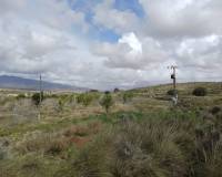 Venta - Villa - La Zarza