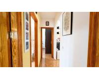 Venta - Villa - Macisvenda