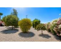 Venta - Villa - Macisvenda