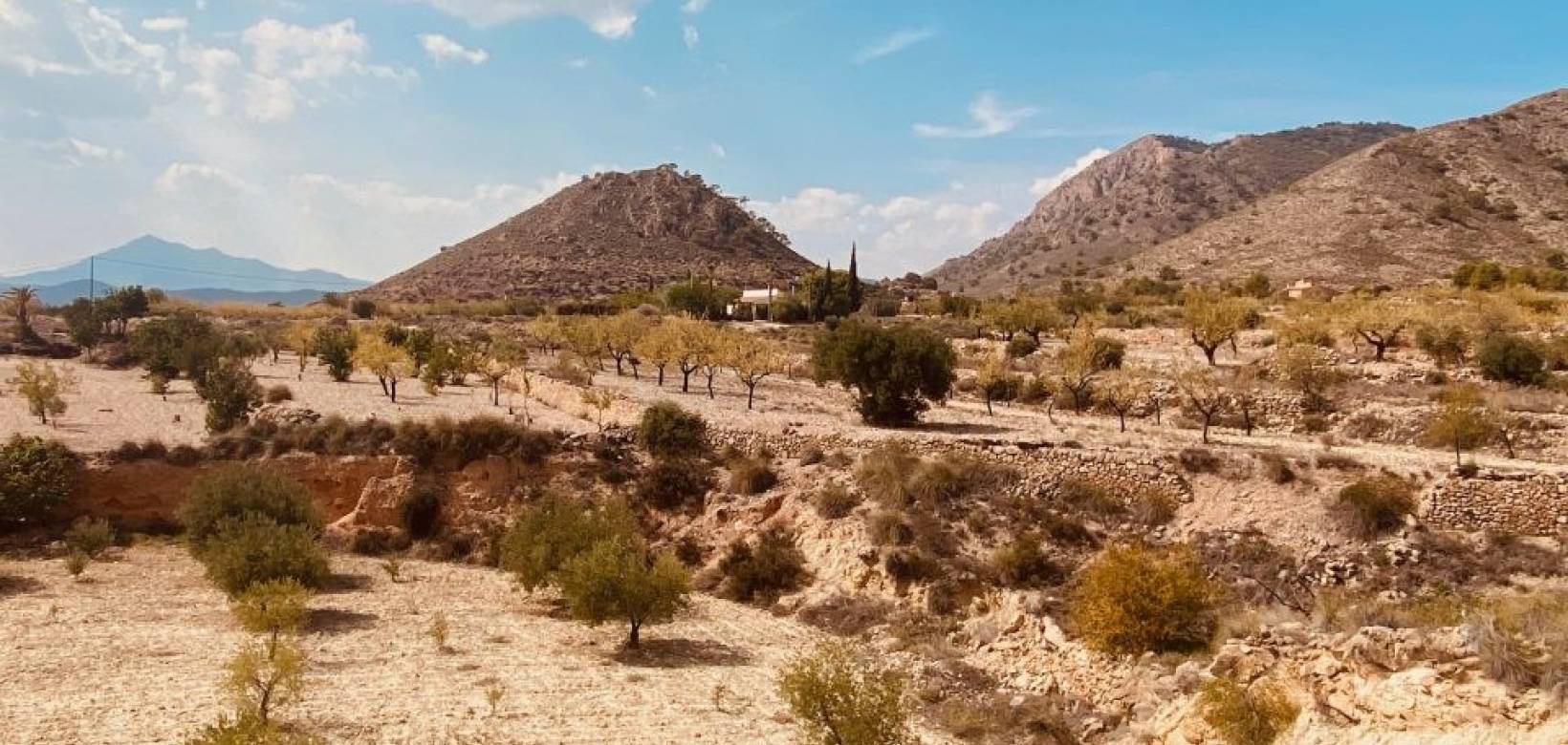 Venta - Villa - Macisvenda