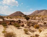 Venta - Villa - Macisvenda