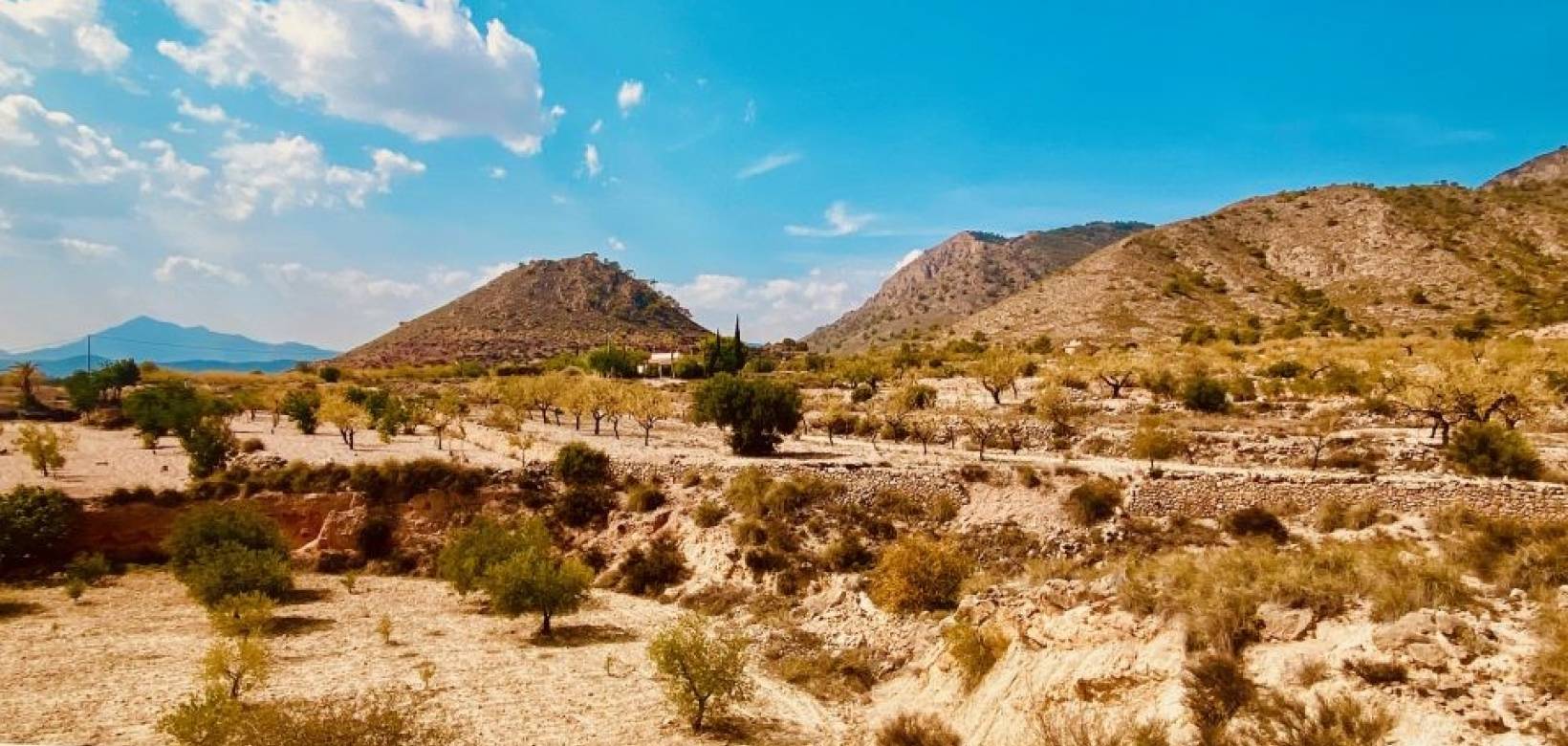 Venta - Villa - Macisvenda