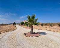 Venta - Villa - Pinoso