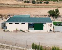 Venta - Villa - Pinoso
