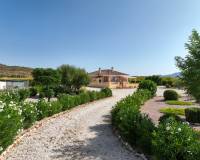 Venta - Villa - Pinoso
