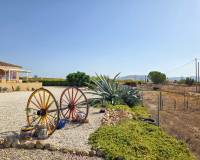 Venta - Villa - Pinoso