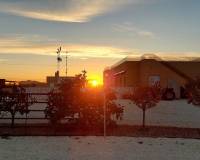 Venta - Villa - Pinoso