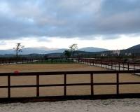 Venta - Villa - Pinoso