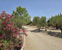 Venta - Villa - Salinas