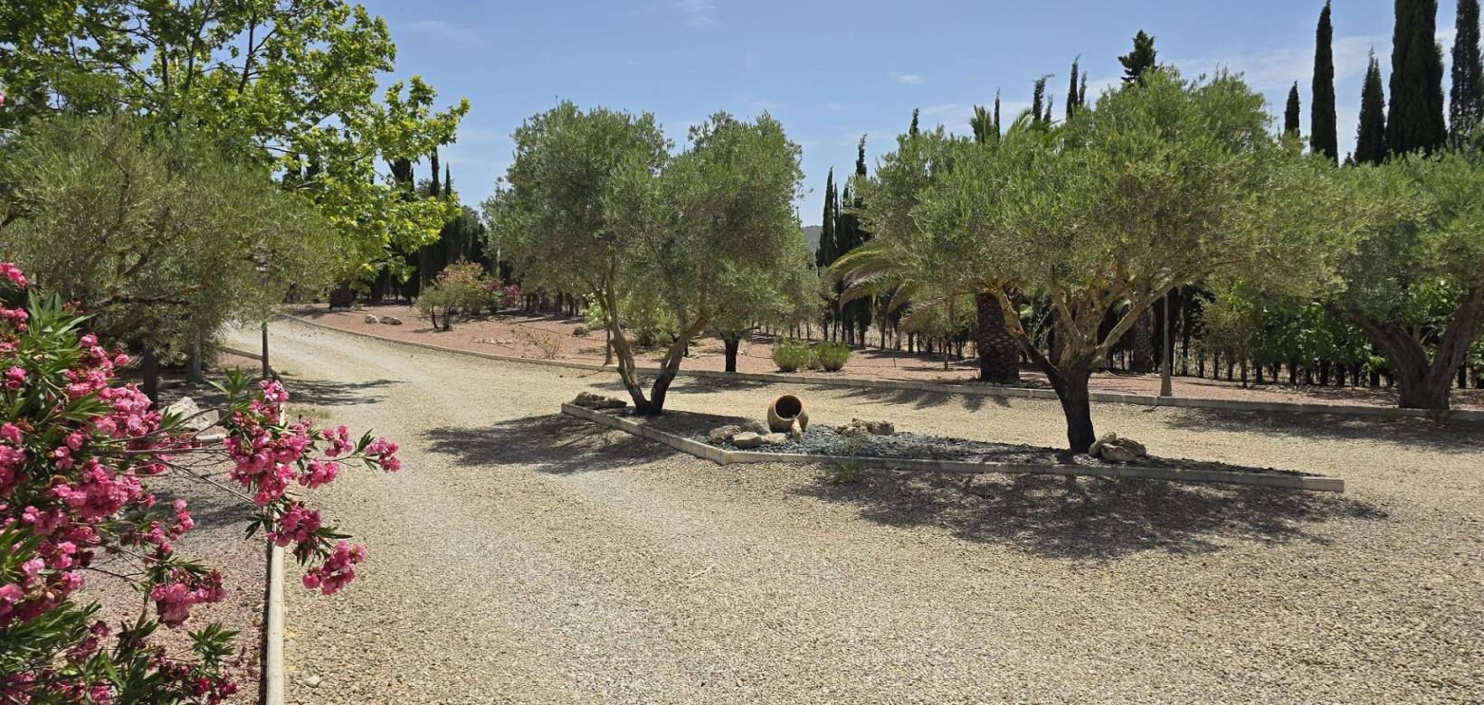 Venta - Villa - Salinas