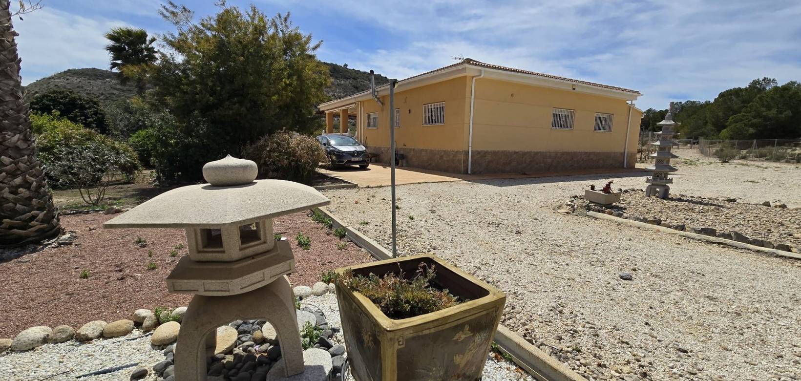 Venta - Villa - Sax