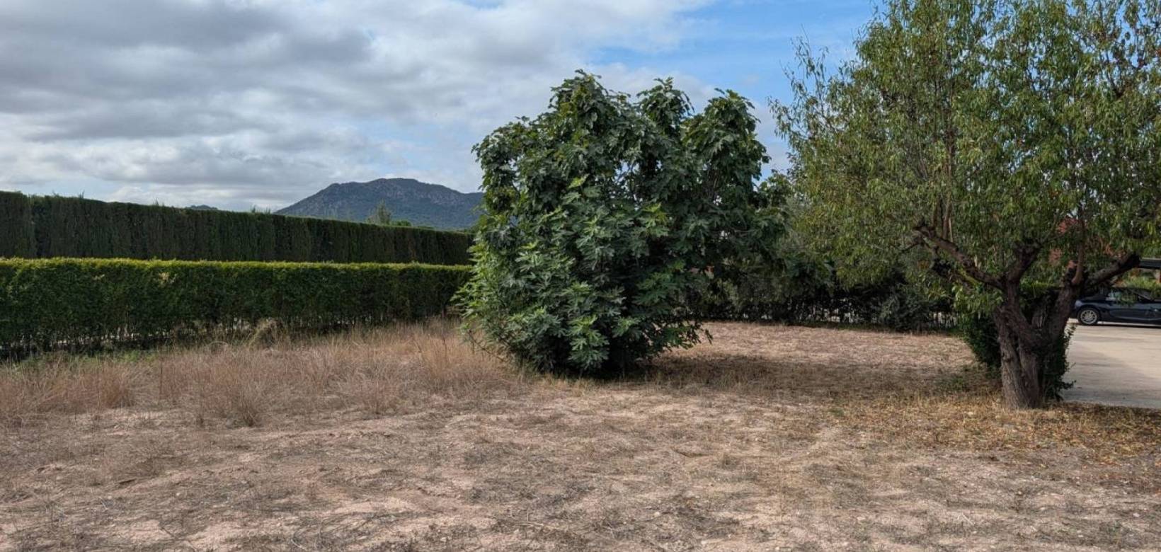 Venta - Villa - Sax
