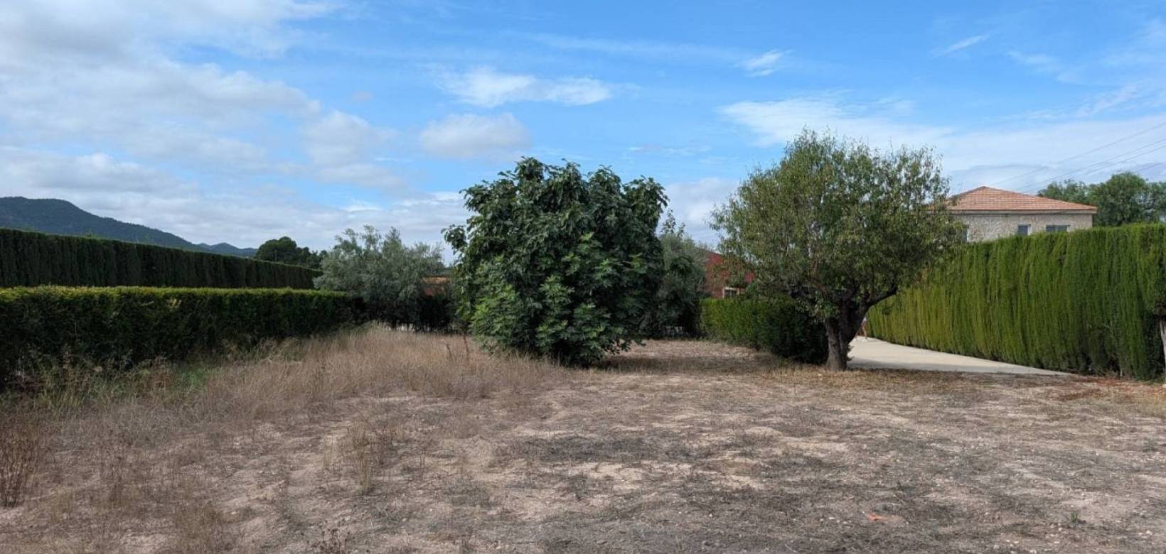 Venta - Villa - Sax