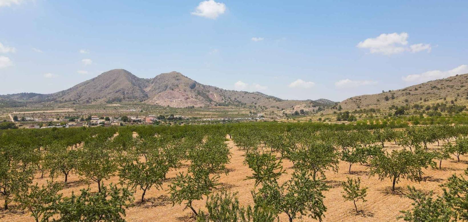 Venta - Villa / Semi separado - Barbarroja