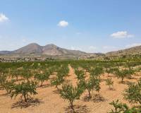 Venta - Villa / Semi separado - Barbarroja