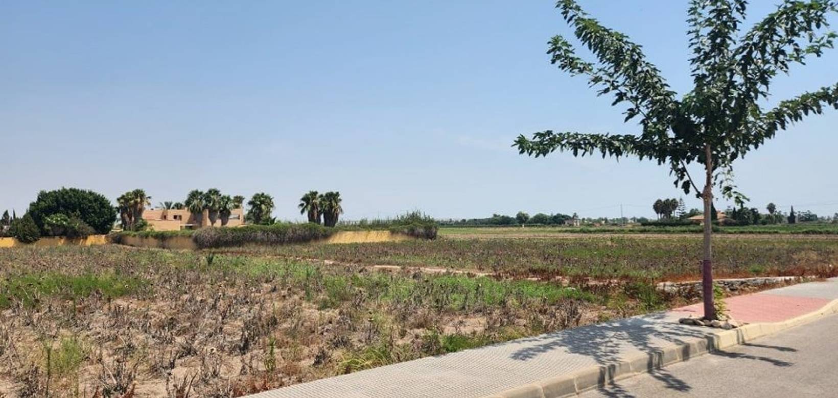 Venta - Villa / Semi separado - Daya Vieja