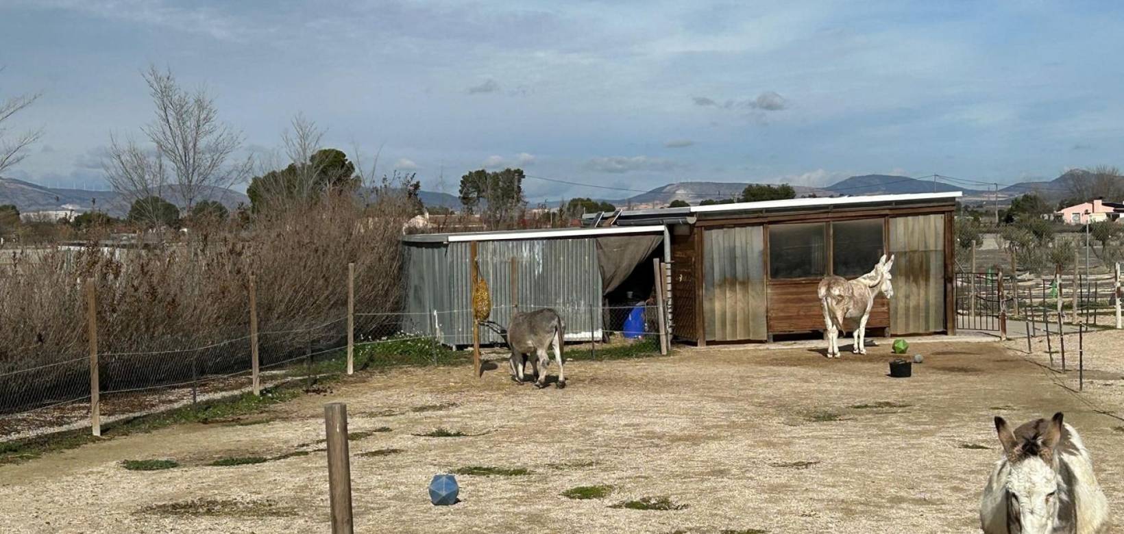 Venta - Villa - Villena
