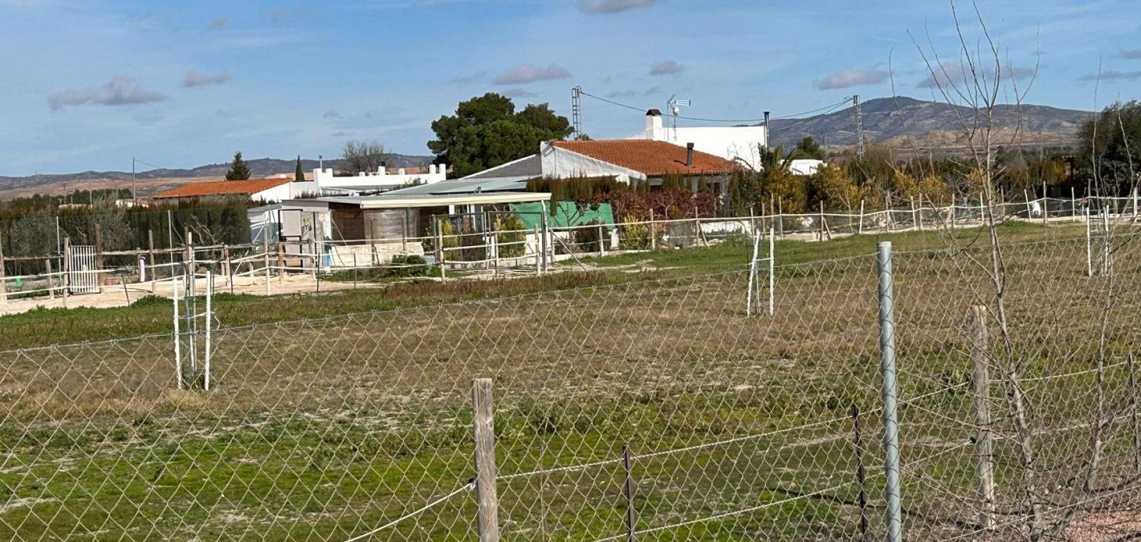 Venta - Villa - Villena