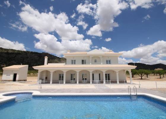 Villa - New Build - Pinoso - AM-PNLCY245