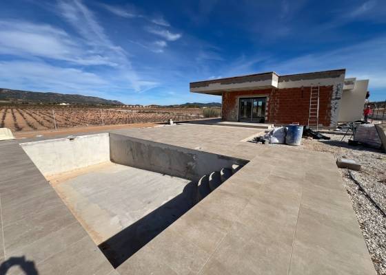 Villa - New Build - Pinoso - Pinoso