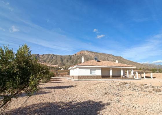 Villa - Nieuw gebouw - Macisvenda - AM-MCJEBC