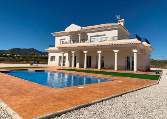 Villa - Nouvelle construction - Pinoso  - AM-PNLCY225