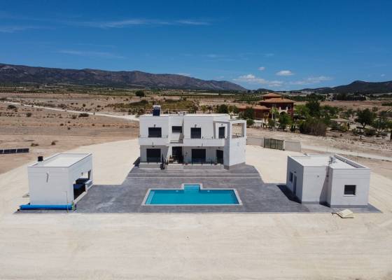 Villa - Nouvelle construction - Pinoso  - AM-PNLCYM180