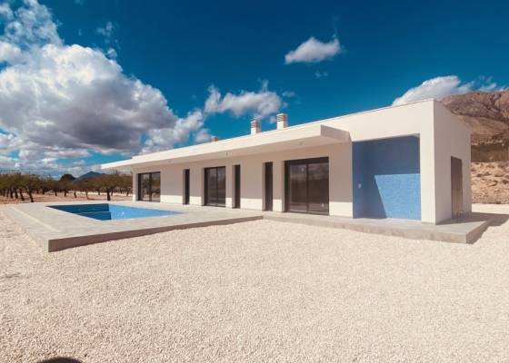 Villa - Nueva construcción  - Macisvenda - Macisvenda