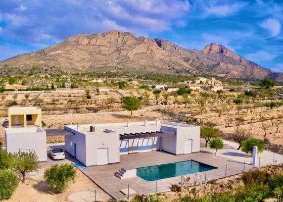 Villa - Nueva construcción  - Macisvenda - Macisvenda